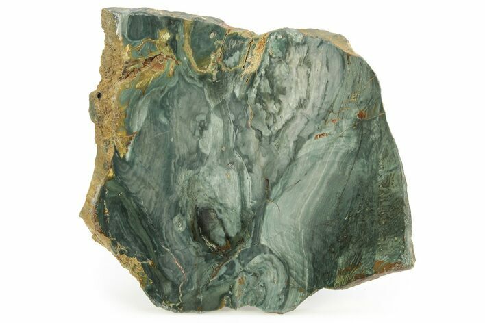 Gary Green Jasper (Larsonite) Bog Wood Slab - Oregon #263417